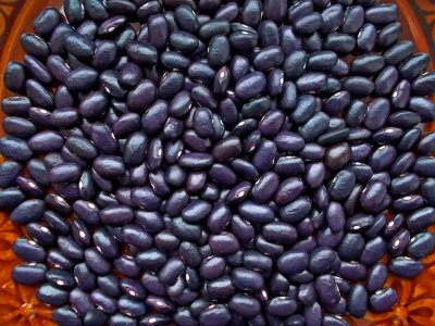 Tarahumara Dark Purple 1.jpg