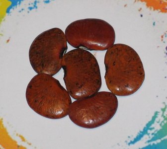 Liberian Lima #3.jpg Liberian Lima #3.jpg