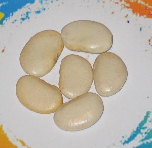 Liberian Lima #4.jpg Liberian Lima #4.jpg