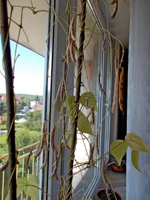 TD # 18 2.jpg TD # 18 2.jpg