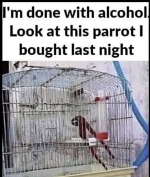 zparrot.png