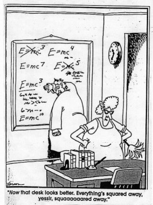 zeinstein-farside.jpg