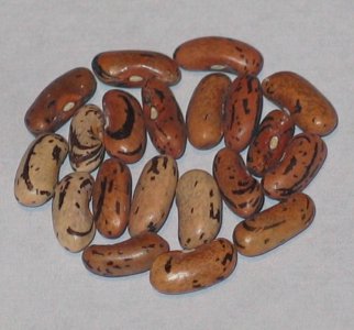 Stibitz.jpg Stibitz.jpg