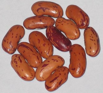 Fairy Crutchfield - Remy.jpg