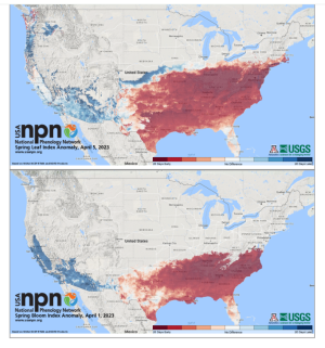 Screenshot_20230408-115217_kindlephoto-76694590.png Screenshot_20230408-115217_kindlephoto-76694590.png