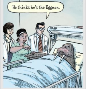 8D69998C-0FB4-4BD2-B05E-CC783C18F385.jpeg 8D69998C-0FB4-4BD2-B05E-CC783C18F385.jpeg