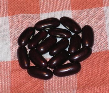 Veitch's Climbing-2.jpg