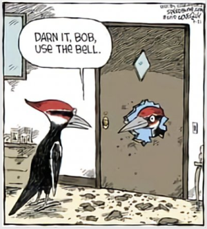 zdoorbell.png zdoorbell.png