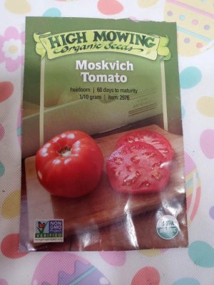Tomatoes planted for 2023, seed pgk#1.jpg