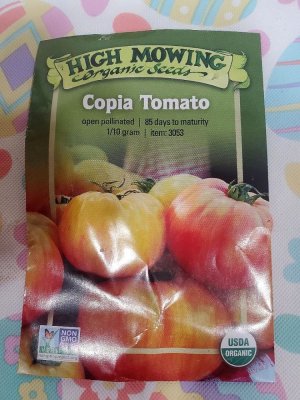 Tomatoes planted for 2023, seed pgk#7.jpg