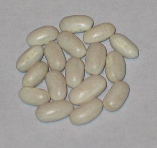 KPG-0020.jpg