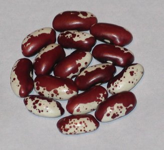 Doti Dotion-0031.jpg