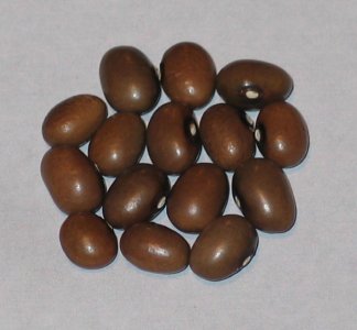 Graines De Cafe-0051.jpg