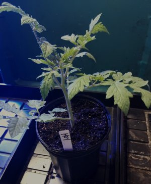 20230509_101618_0.jpg 20230509_101618_0.jpg