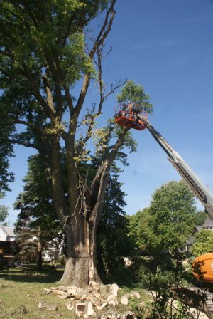 DSC05863.JPG DSC05863.JPG