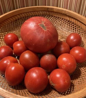 IMG_0679.jpeg IMG_0679.jpeg