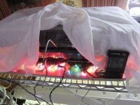 IMG_0523.JPG IMG_0523.JPG