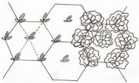 hexagonal-planting.jpg