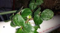20150401_192811.jpg