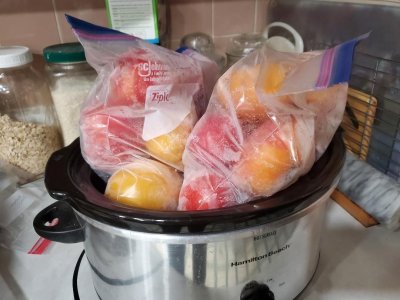 Tomatoes frozen whie in Alaska, 09-05-23.jpg