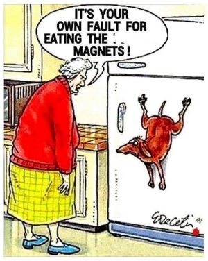 zfridge.jpg