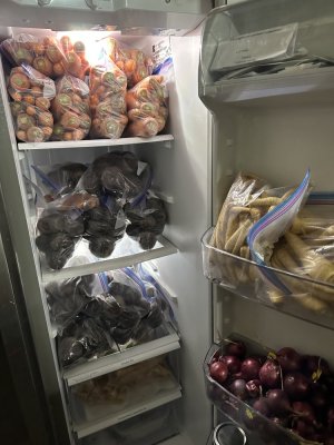 IMG_1340.jpeg