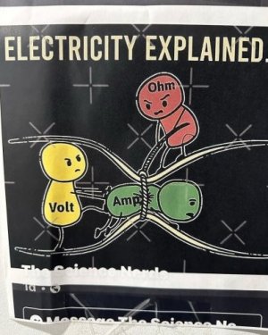 zelectric.jpg