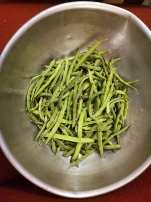 Green beans last harvest, 2023#1.jpg