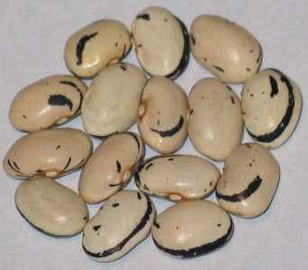 Big Dipper.jpg Big Dipper.jpg