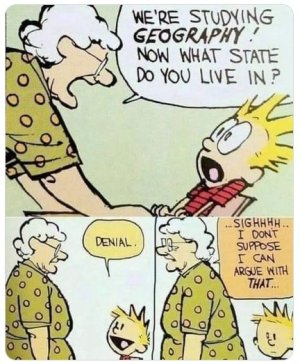 zstate.jpg