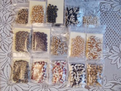 DSCN4203.jpg DSCN4203.jpg