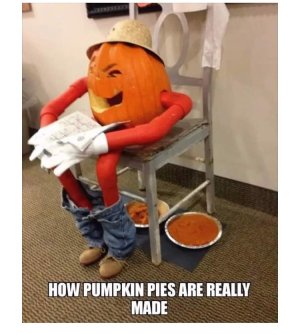 pumpkinpie.jpg
