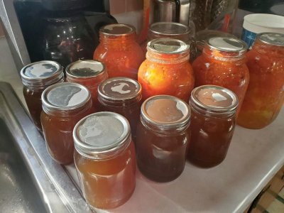 Tomato & Broth canning, 11-12-23.jpg