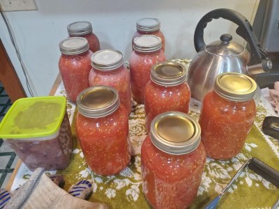 Tomatoes canned, 11-18-23, 9quarts, #1.jpg