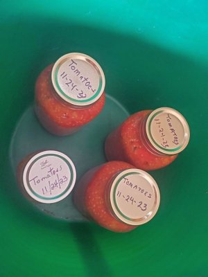 Tomatoes canned, 11-24-23, 3 .5  quarts.jpg