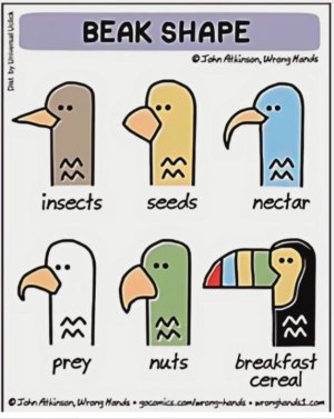 Screenshot_20231208_054401_Chrome.jpg Screenshot_20231208_054401_Chrome.jpg