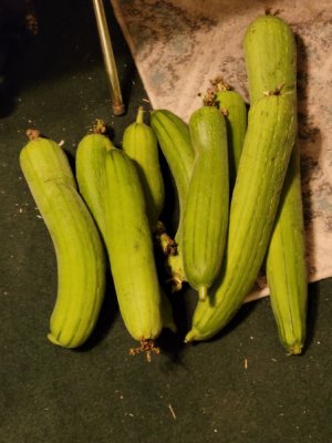 20230826_184920.jpg