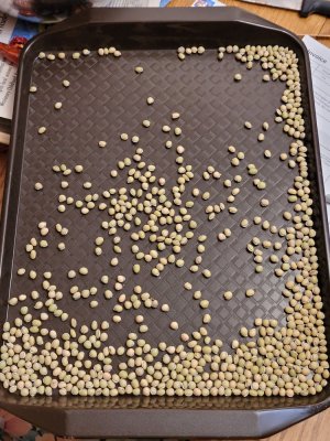 20231210_143936.jpg 20231210_143936.jpg