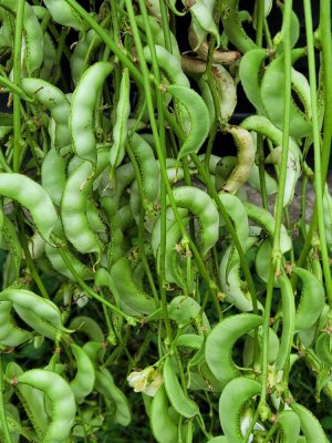 20230902_145632.jpg 20230902_145632.jpg