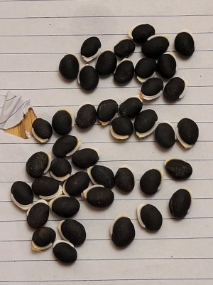 20231210_144946.jpg 20231210_144946.jpg