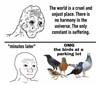 Screenshot_20231223_055838_Chrome.jpg Screenshot_20231223_055838_Chrome.jpg