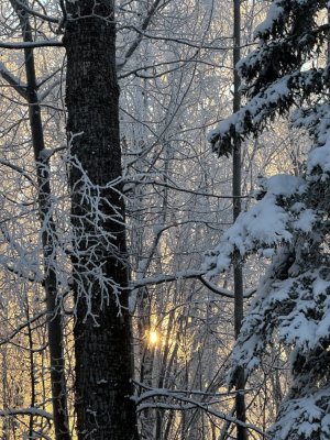 IMG_1914.jpeg