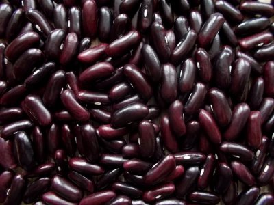 Dakota Bumble 3 2.jpg