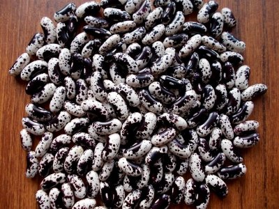 Dakota Bumble 2 1.jpg