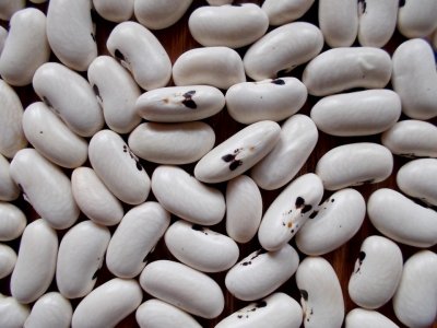 Dakota Bumble 4 2.jpg