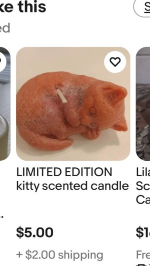 8D6CAA40-9EF3-47B1-AF5D-40D15025FD50.jpeg 8D6CAA40-9EF3-47B1-AF5D-40D15025FD50.jpeg