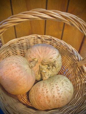 IMG_0871.jpeg IMG_0871.jpeg