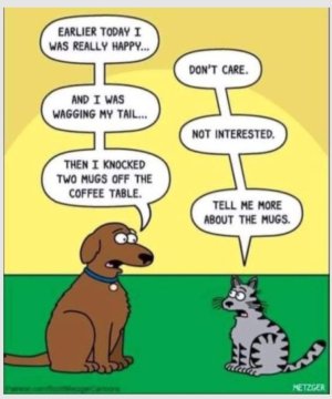 Screenshot_20240125_003453_Chrome.jpg Screenshot_20240125_003453_Chrome.jpg