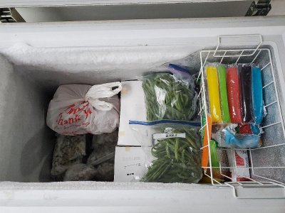 Porch freezer stuff, 01-27-24, #2.jpg