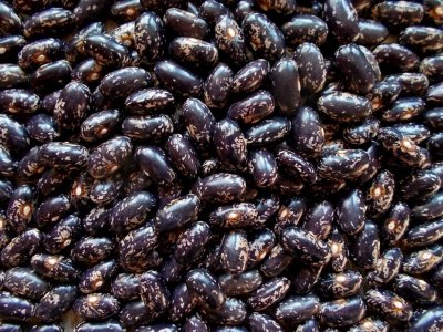 Rassacher Kipfler 2.jpg